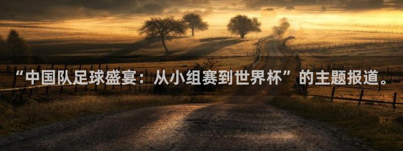 “中国队足球盛宴：从小组赛到世界杯”的主题报道。
