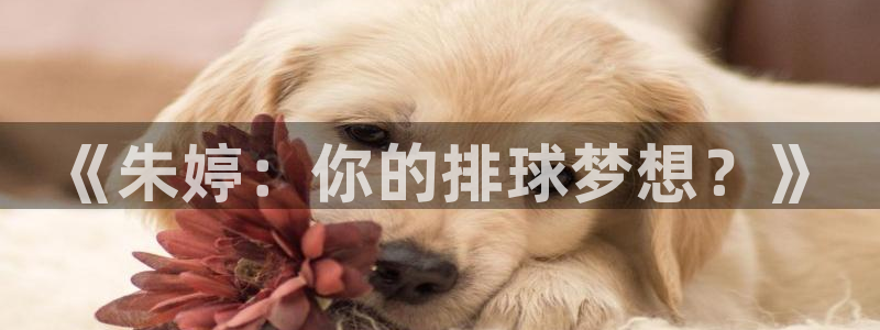 《朱婷：你的排球梦想？》