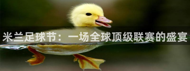 米兰足球节：一场全球顶级联赛的盛宴