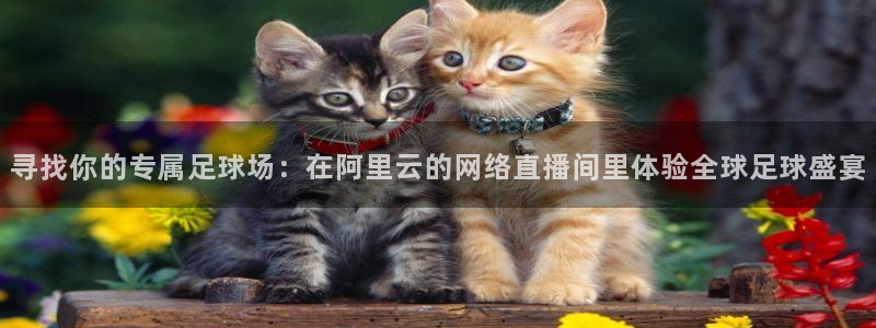 熊猫体育文化力康健身：寻找你的专属足球场：在阿里云的网络直播