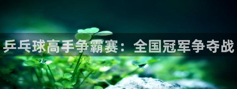 熊猫体育直播nba：乒乓球高手争霸赛：全国冠军争夺战