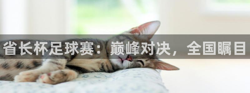 熊猫体育app官方入口下载：省长杯足球赛：巅峰对决，全国瞩目