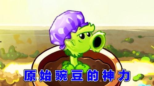 娱乐吃瓜酱豌豆射手,揭秘娱乐圈那些不为人知的幕后故事